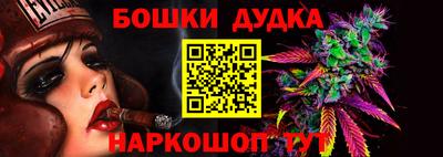 индика Ликино-Дулёво