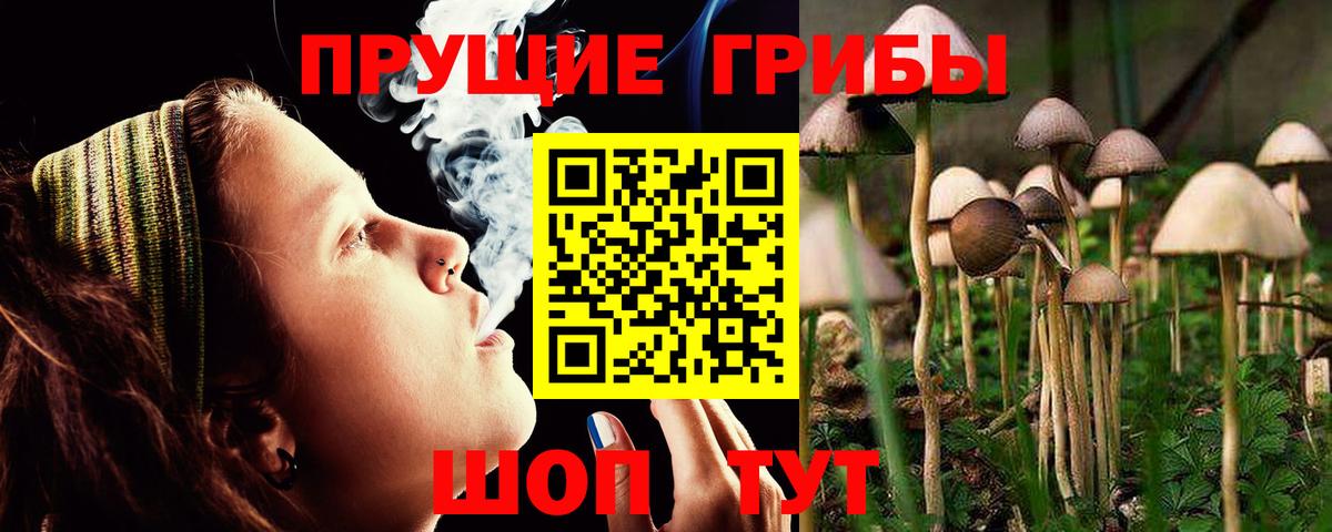 Псилоцибиновые грибы Magic Shrooms Вышний Волочёк