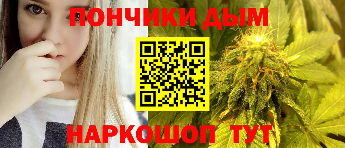 Шишки марихуана планчик Вышний Волочёк